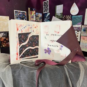 Art book displayed in La Casita's gallery